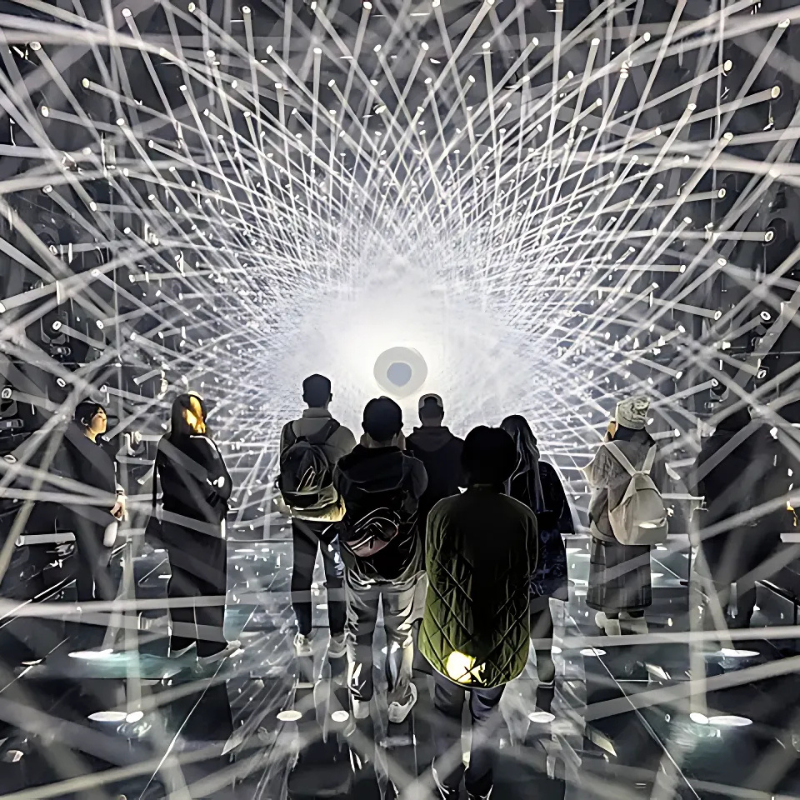 Book TeamLab Borderless Tickets Tokyo
